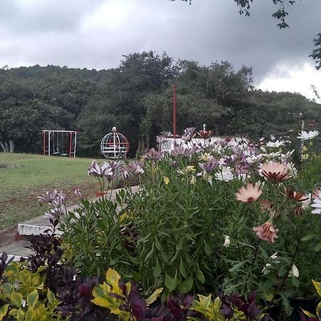Bungalows Villa Limon Chignahuapan Buitenkant foto